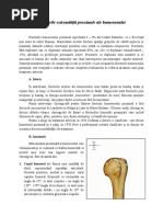 Fracturile Extremităţii Proximale Ale Humerusului