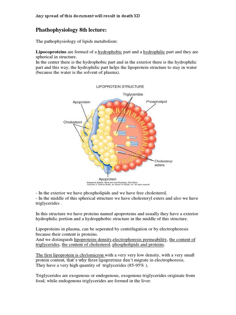 Lipoprotein Metabolism Overview | PDF | Lipoprotein | Cholesterol