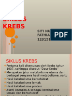 Presentaasi Siklus Krebs