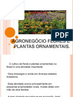 Agro flores plantas cultivo Brasil