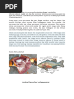 Download Laporan Sistem Pencernaan Pada Ikan by Purwaning Rohmah SN305984138 doc pdf