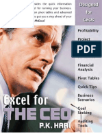 Excel for the CEO