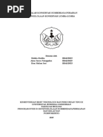 Download MAKALAH Konservasi Lumba Lumba by Muthia Raidha SN305986867 doc pdf