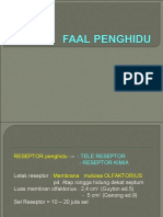 Faal Penghidu