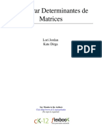 Encontrar Determinantes de Matrices ALG II SPN l v3 Ifa s1