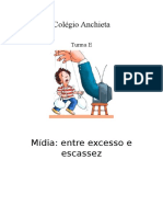 Entre Excesso e Escassez Mídia no Brasil