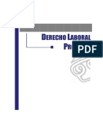 Derecho Procesal Laboral - EGADerecho Procesal Laboral - EGACALCAL