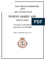 Pohon Jambu Air