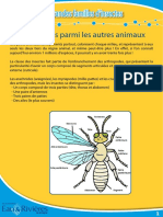 Les Insectes