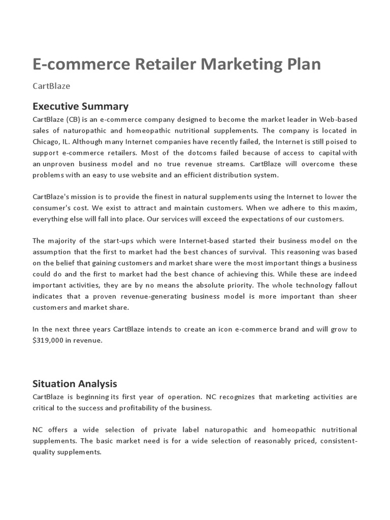 Sample Ecommerce Marketing Plan | PDF | Brand | Retail