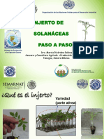 (HTTP - Librosagronomicos - Blogspot.mx-) - 2.3 El Injerto en Solanaceas Paso A Paso (Ricardez)