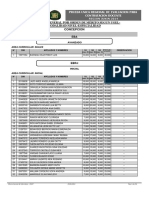 Ugel Concepción PDF