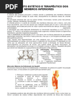 Tratamento Estético e Terapêutico Dos Membros Inferiores