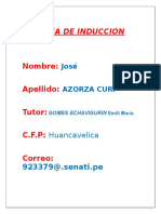 Tarea de Induccion