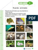 Clasificación de Animales Vertebrados