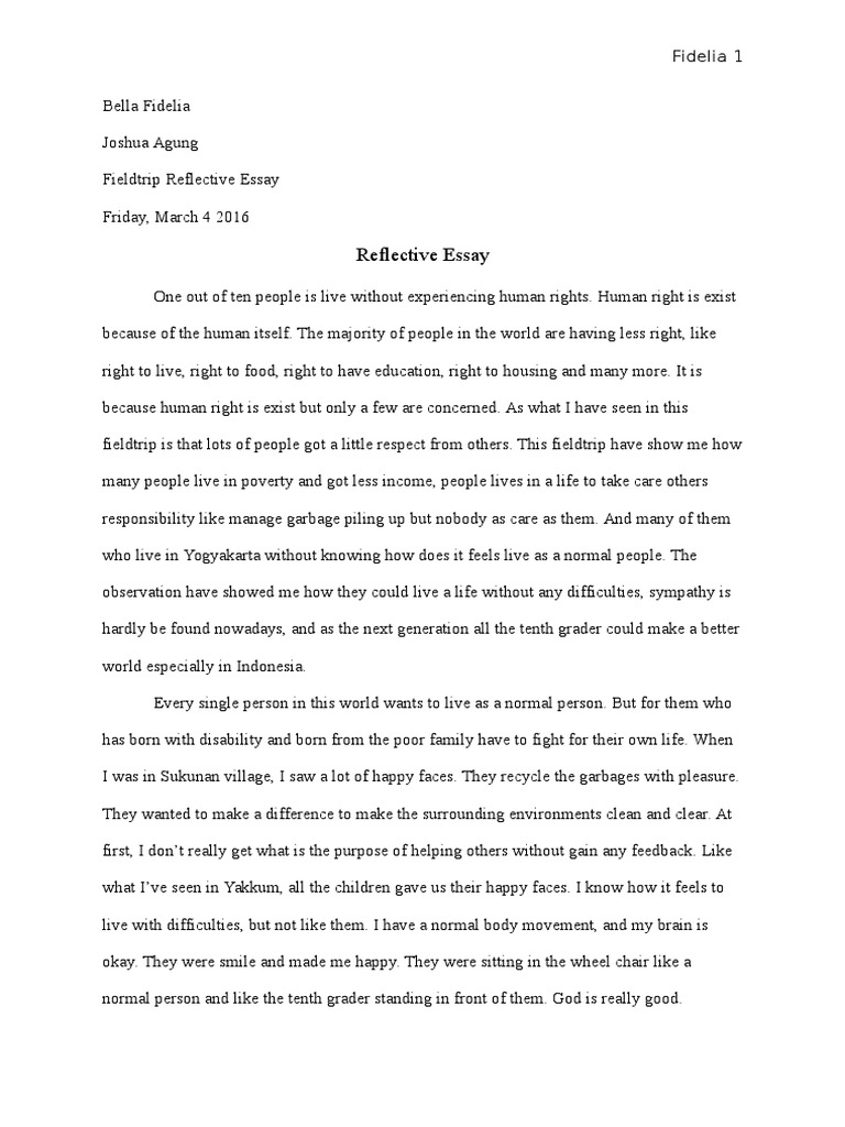 Reflective Essay On Social Justice