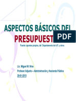 Aspectos Basicos Del Presupuesto