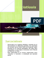 Sarcocistiosis Parasitologia