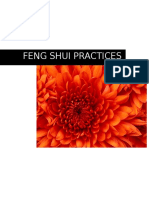 2016 Feng Shui Practices