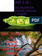 Richa, Yasmeen Satwinder, Diksha Vinita