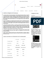 Valores Normales en El Embarazo