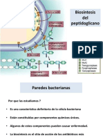 Biosintesis de PG LPS y Esporas