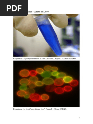 Álbum Iconográfico de Bioquímica
