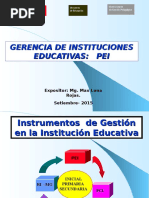 PEI- INSUMO PARA EL TALLER.PPT