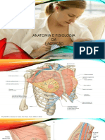 Anatomia e fisiologia Mama.pptx