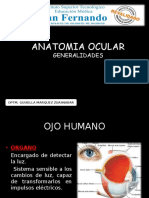 Clase 01 - Globo Ocular Generalidades