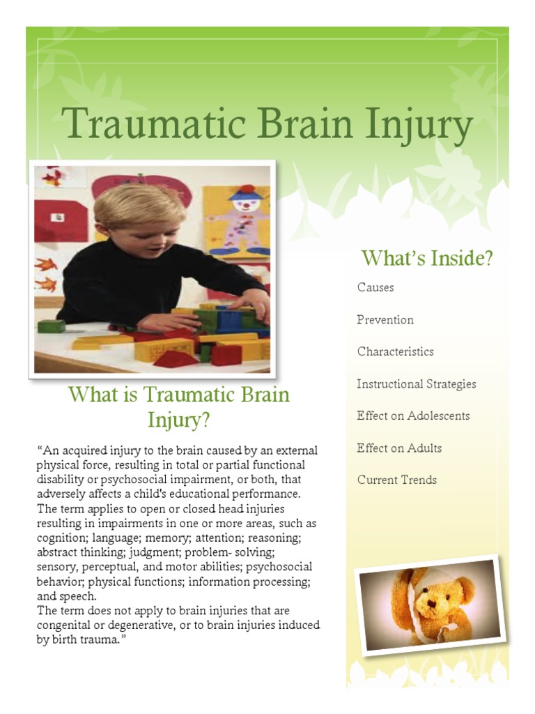 Understanding Traumatic Brain Injury | PDF | Traumatic Brain Injury ...