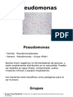 Pseudomonas y Burkholderia