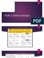ADN y Biotecnología
