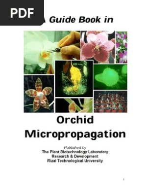 The Rtu Orchid Micro-Propagation Guidebook
