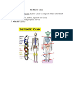 The Kinetic Chain Approach To Pain