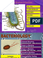 190616321-Bacteria