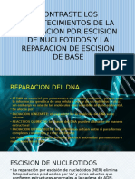 Reparacion Del Dna