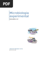Relatório de Microbiologia 2