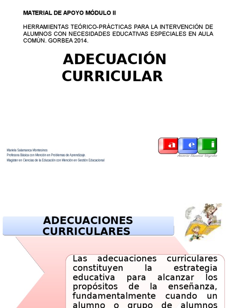 Adecuacion Curricular Maestros Aprendizaje