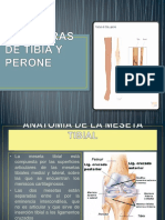 Expo de Traumatologia Tibia PPT 130703060921 Phpapp02