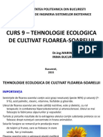 Curs Floarea Soarelui