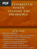 Download Musculoskeletal Anatomy and Physiology by Amy SN30618850 doc pdf