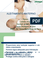 Aleitamento Materno Tarde