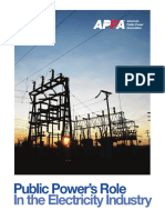 Public Power's Role