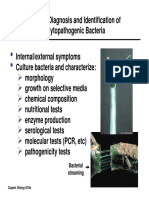 Phytopathogenic Bacteria