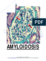 Amyloidosis: Notes On Amyloidosis by Dr. Ashish Jawarkar Contact