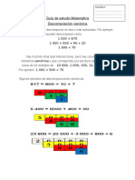 Guía Descomposición Canónica