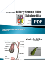 Patologia Biliar