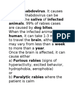 Rabies. Rhabdovirus Can Be Animals. 99% of Rabies Cases Human, It Can Take 1-3 Months