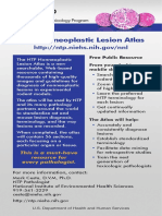 Ntp Nonneoplastic Lesion Atlas 508